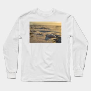 Seashells scene Long Sleeve T-Shirt